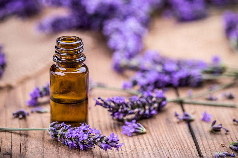 Aceite de lavanda: descubre sus beneficios y propiedades para tu bienestar - Rincón Zen