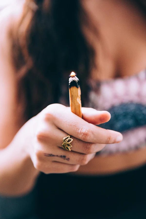 Palo Santo: el aroma sagrado que necesitas en tu hogar - Rincón Zen