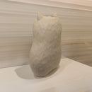 Gato Oliver Corazón