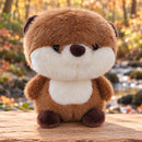 Peluche Nutria Café