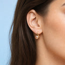 Aros Perla