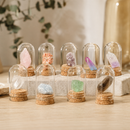 Colección de 9 Minerales en Cúpula