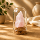 Colección de 9 Minerales en Cúpula