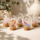 Colección de 9 Minerales en Cúpula