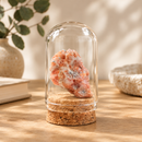 Colección de 9 Minerales en Cúpula