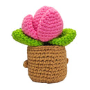 Figura Crochet - Suculenta Positiva