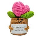 Figura Crochet - Suculenta Positiva