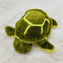 Peluche Tortuga