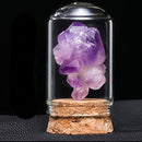 Set de minerales - 7 minerales energéticos