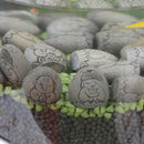 Mini Budas de Piedra