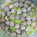 Mini Budas de Piedra