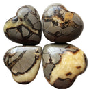 Piedra Septaria Natural